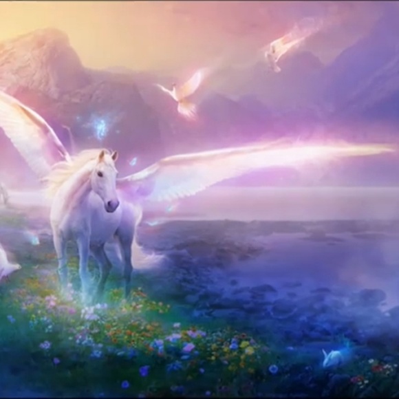 Meet your Posher, Theresa - Picture 2 of 2